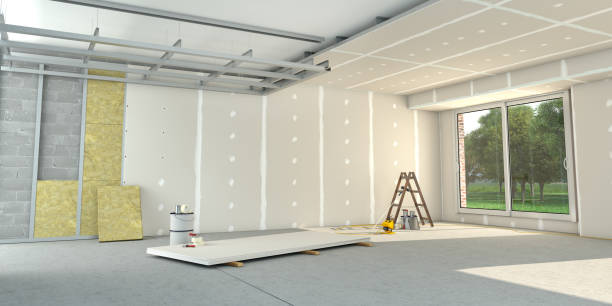 Best Insulation Installation Services in Franklin, GA